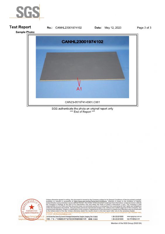 2023SGS388vip太阳集团家居检测报告英文版